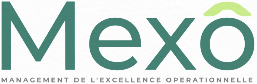 Mexoconsulting